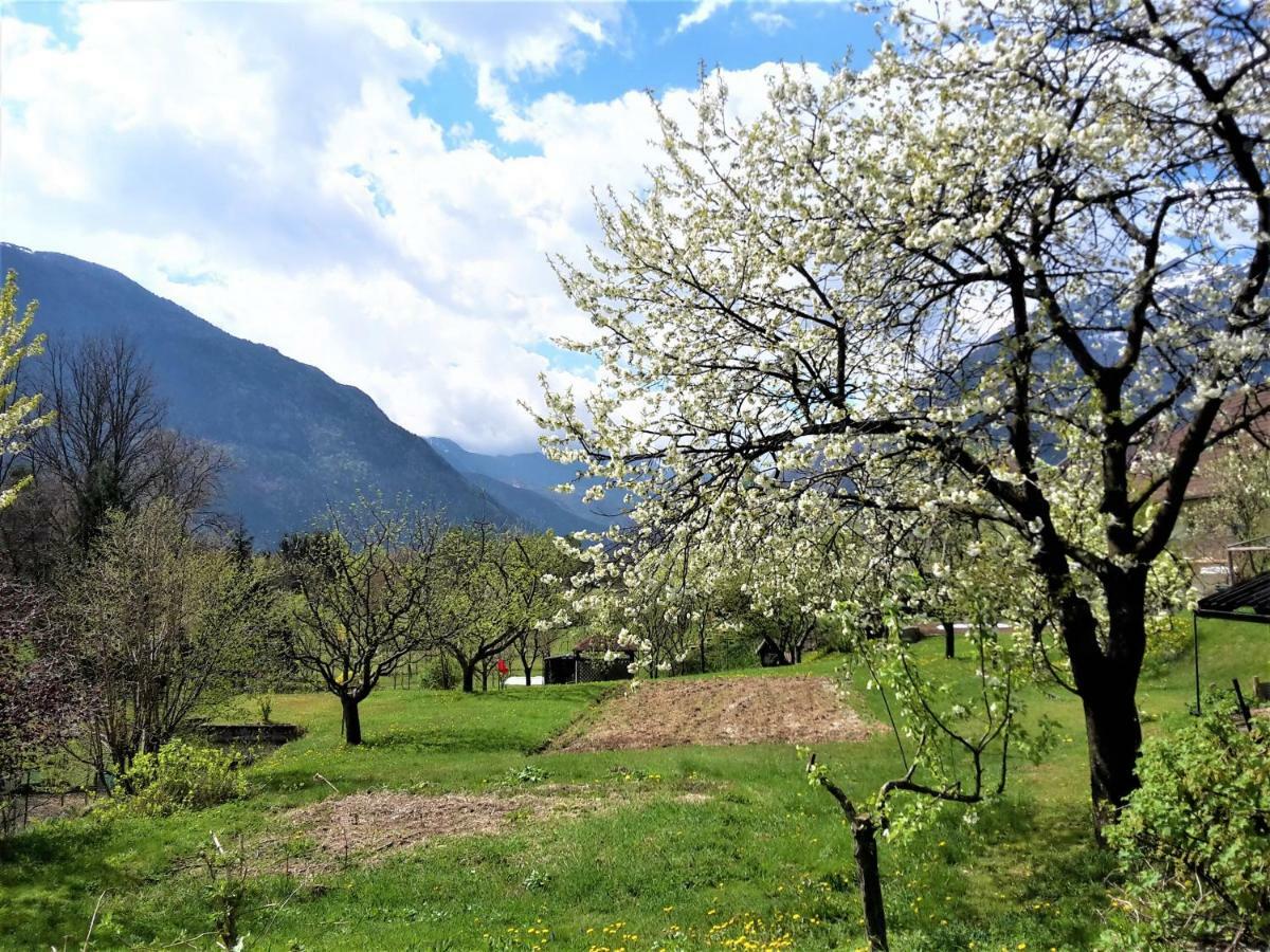 Bovec Holiday House Extérieur photo